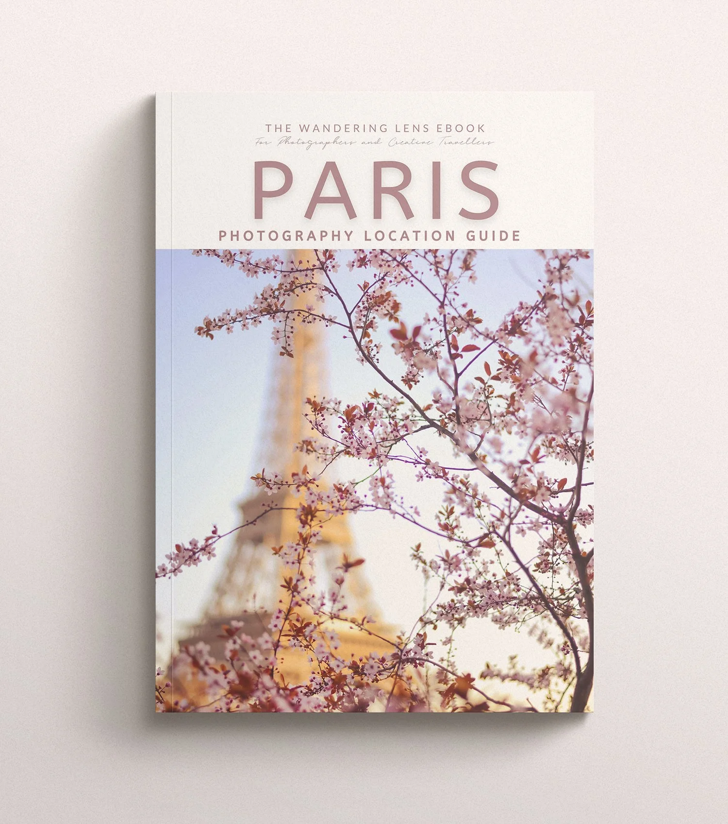 写真集 la savoie paris DANSKE FRANCE 等11冊 Savoie | French vintage lithograph | PosterKunst.com